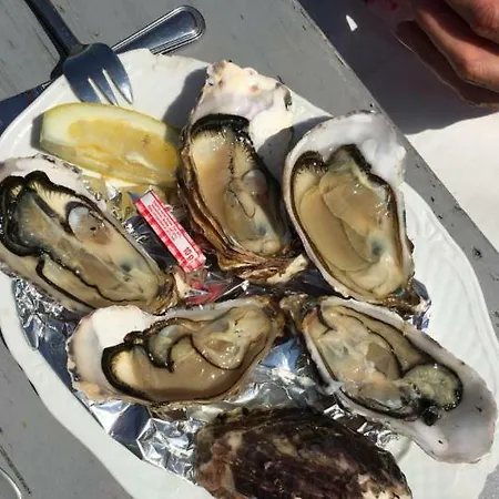 L'ile De Re Les Trois Moulins *